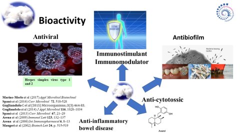 Biotecnhologies 